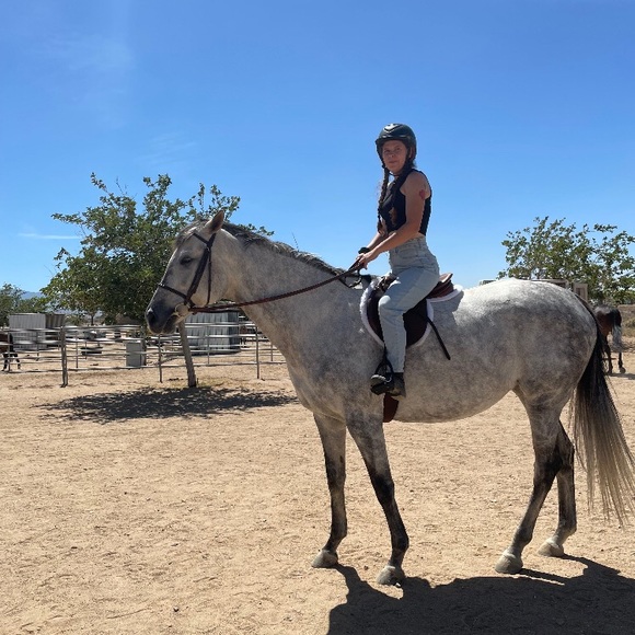 Meet your Posher, Kelly - Picture 12 of 16